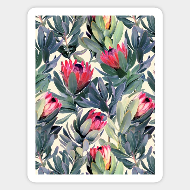 Painted Protea Pattern Sticker by micklyn